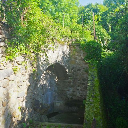 Puig Roja Del Roser Prats-de-Mollo-la-Preste Exterior foto